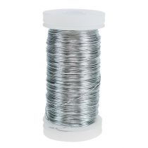 Product Myrtle wire silver galvanized 0.37mm 100g