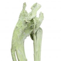 Product Natraj Mix Apple Green, whitewashed 10 pcs
