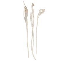 Product Natraj Antler Wood Mix White Washed 10 pcs