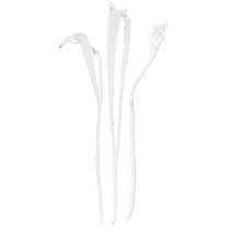Product Natraj antler wood mix bleached 10 pcs