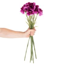Product Carnation Artificial Flowers Two-Tone Long Stem 56cm Bundle of 8