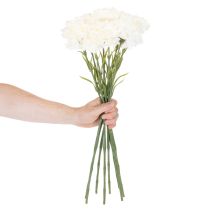 Product Artificial Carnation Stem Set, 56cm, White, 8 Pieces for Bouquets and Wreaths