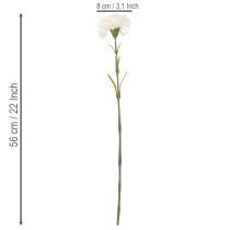 Product Artificial Carnation Stem Set, 56cm, White, 8 Pieces for Bouquets and Wreaths