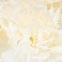 Product Artificial Carnation Stem Set, 56cm, White, 8 Pieces for Bouquets and Wreaths