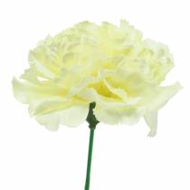 Product Carnation Blossom White Ø9cm 12pcs