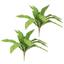 Product Nest fern artificial plants in green 5.5×22cm 2pcs