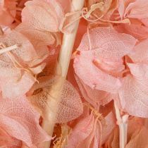 Product Nicandra dried flower creates a romantic atmosphere for any living area 75cm