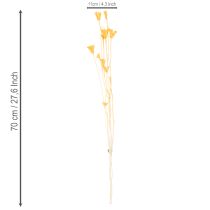 Product Nigella dried flower arrangement for long-term use. Elegant eye-catcher. 70cm 50g