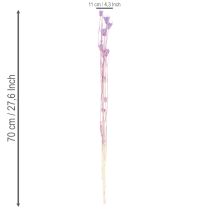 Product Dried Nigella flowers bouquet, decorative use in the living room, creates a unique ambience, 70cm, 50g