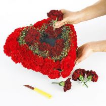 Product OASIS® Biolit® heart large 34cm 2 pcs