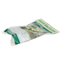 Product OASIS® Deco-Fix 10 pcs