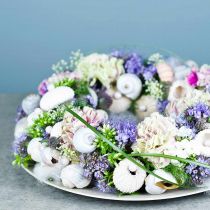 Product OASIS® Floral Foam Wreath Ring Green H3cm Ø25cm 6 pcs