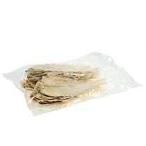 Product Oak Leaf bleached 35 pcs