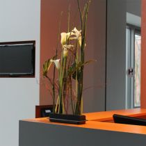 Product OASIS® Black Table Deco Medi Floral Foam 4 pcs