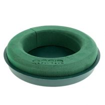 Floral foam ring with shell green Ø30cm H4.5cm 2pcs