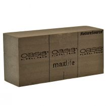 Product Oasis NatureSource Maxlife Floral Foam Brick Brown 23×11×7.5cm 1 pc