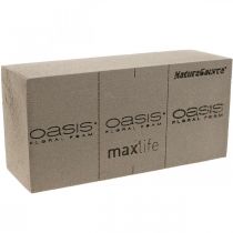 OASIS® BIOLIT® NatureSource brick floral foam 23cm×11cm×7cm 10 pieces