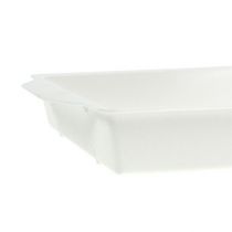 Product OASIS® socket tray white 23cm x 11.5cm x 2.5cm 5 pieces