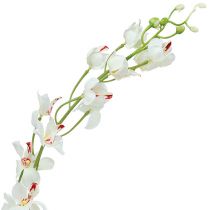 Orchid Mokara White 92cm 3pcs