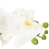 Product Artificial orchid in a pot for a harmonious ambience, white, 60cm