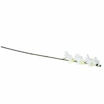 Product Artificial Orchid Artificial Flower White Ø6.5-8cm 77cm