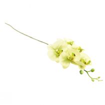 Product Orchid Artificial Yellow Green Phalaenopsis 85cm