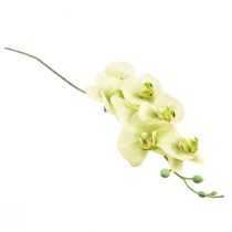 Product Orchid Artificial Yellow Green Phalaenopsis L83cm