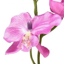 Product Orchid Phalaenopsis artificial 6 flowers purple 70cm