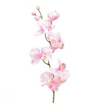 Product Orchid Phalaenopsis artificial 6 flowers pink 70cm