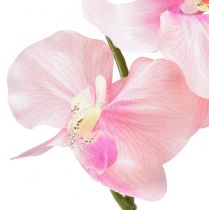 Product Orchid Phalaenopsis artificial 6 flowers pink 70cm
