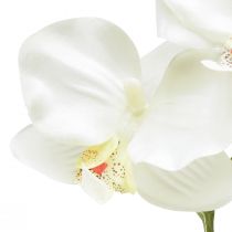 Product Orchid Phalaenopsis artificial 6 flowers white cream 70cm