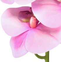 Product Orchid Phalaenopsis artificial 8 flowers pink 104cm