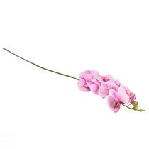 Product Orchid Phalaenopsis artificial 8 flowers pink 104cm
