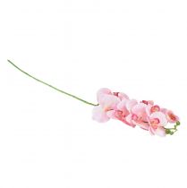 Product Orchid Phalaenopsis artificial 9 flowers pink white 96cm