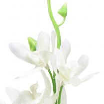 Product Orchids artificial Oncidium artificial flowers white 90cm