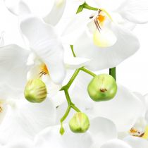 Product Artificial orchids for the pot white 80cm