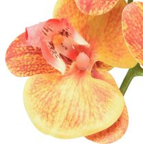 Product Orchid artificial Phalaenopsis flamed red yellow 78cm