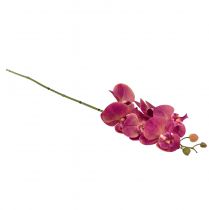 Product Artificial Orchid Phalaenopsis Orchid Fuchsia 78cm