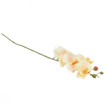 Product Artificial Orchid Cream Orange Phalaenopsis 78cm
