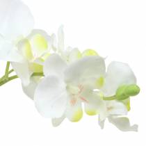 Orchids white in a pot artificial plant H35cm