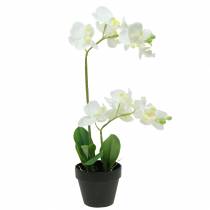 Orchids white in a pot artificial plant H35cm