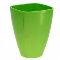 Product Orchid pot shiny Ø12.5cm lime, 1pc