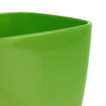 Orchid pot glossy Ø12.5cm lime, 1pc