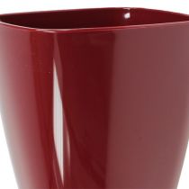 Product Orchid pot shiny Ø12.5cm Bordeaux, 1 piece