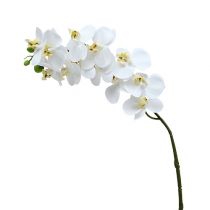 Orchid branch White L58cm