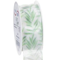 Product Organza ribbon, chiffon ribbon, green plant ribbon, 40mm x 15m