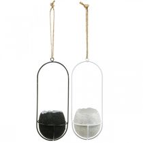 Product Easter decoration for hanging, eggshell for planting, spring decoration black/white H24cm 4 pcs