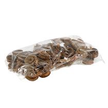 Product Palm Male Natural 25 pcs