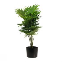 Product Palm decorative fan palm artificial plants pot green 80cm