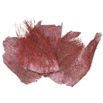 Product Palm fiber for crafts Bordeaux white washed 20-40cm 250g